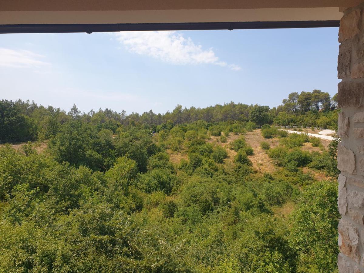 Villa Istra Divšići Екстериор снимка